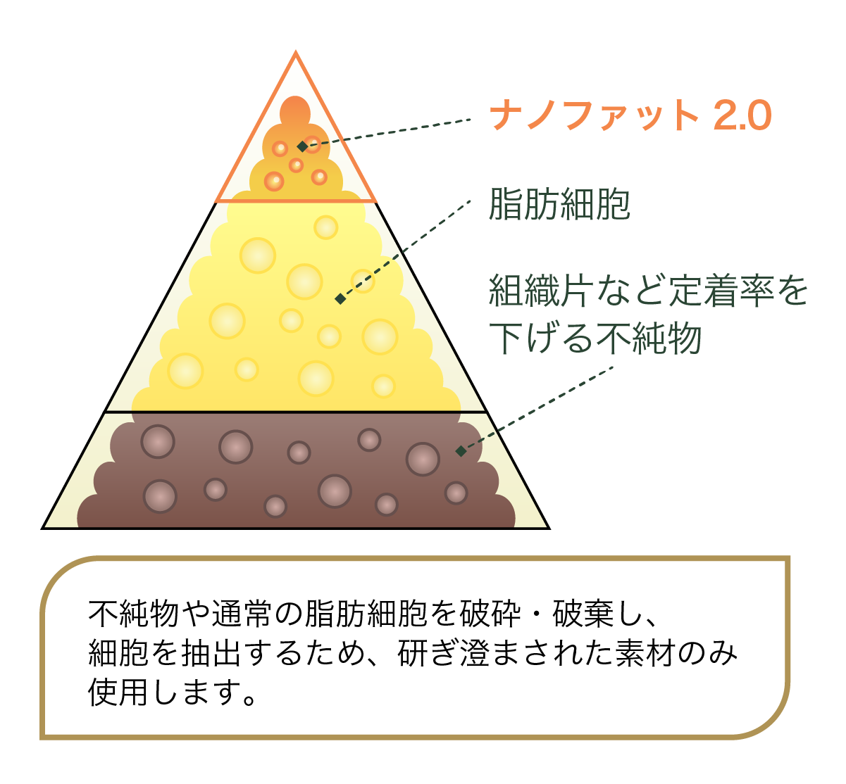 脂肪注入「ナノファット2.0」とは