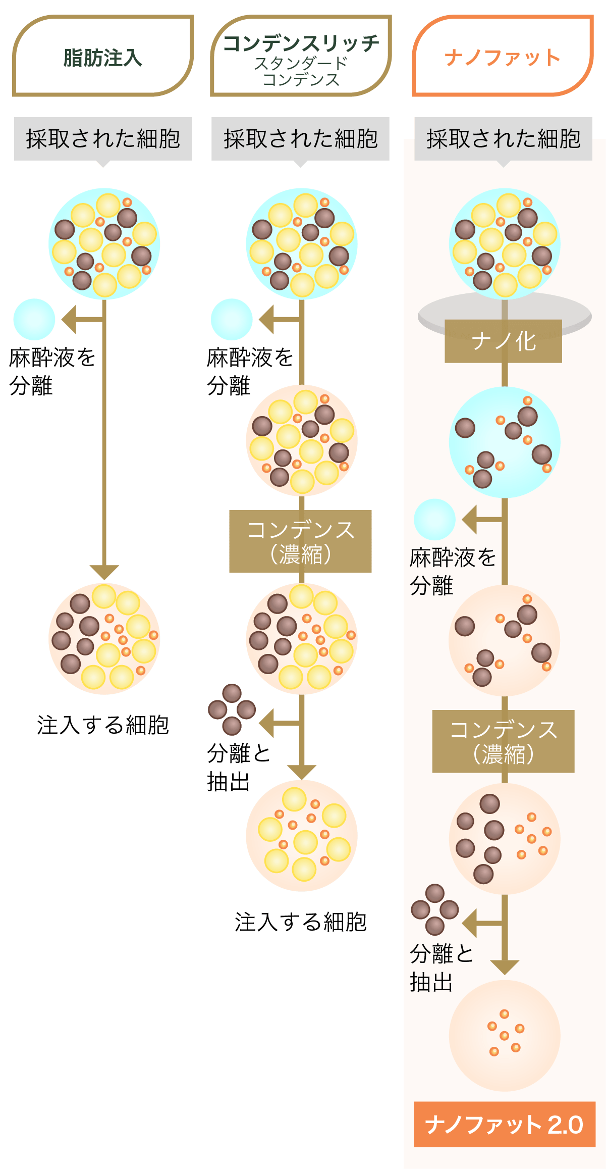 従来の脂肪注入との比較