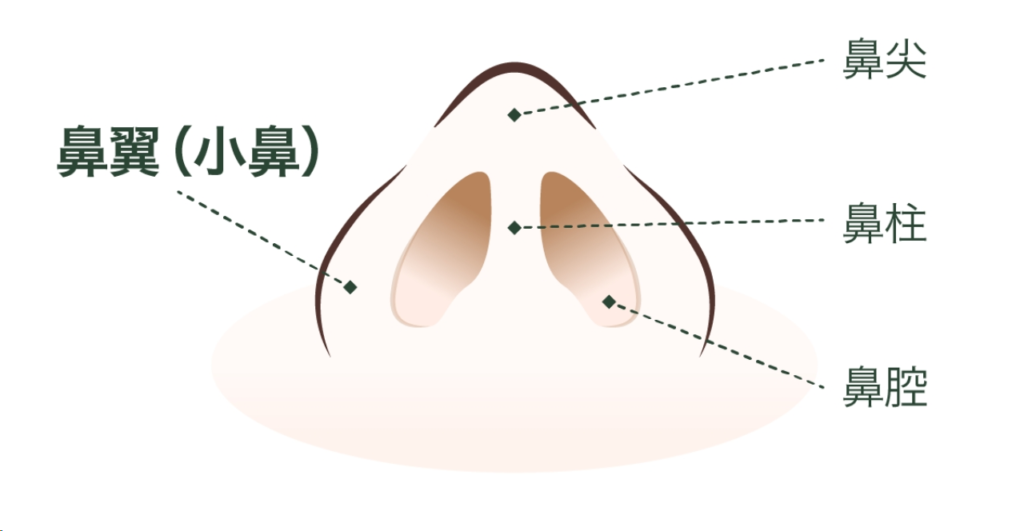 小鼻縮小とは